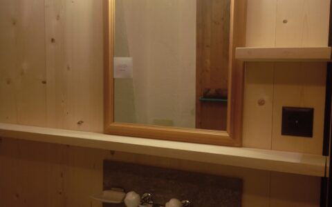 Badezimmer Sanierung (3)